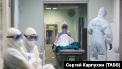 Шу кунгача Россияда коронавирусдан 513 одам вафот этди.